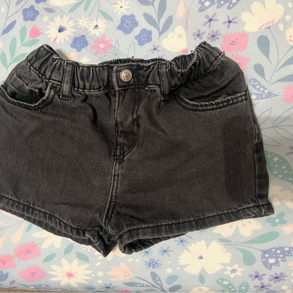 Zara Shorts